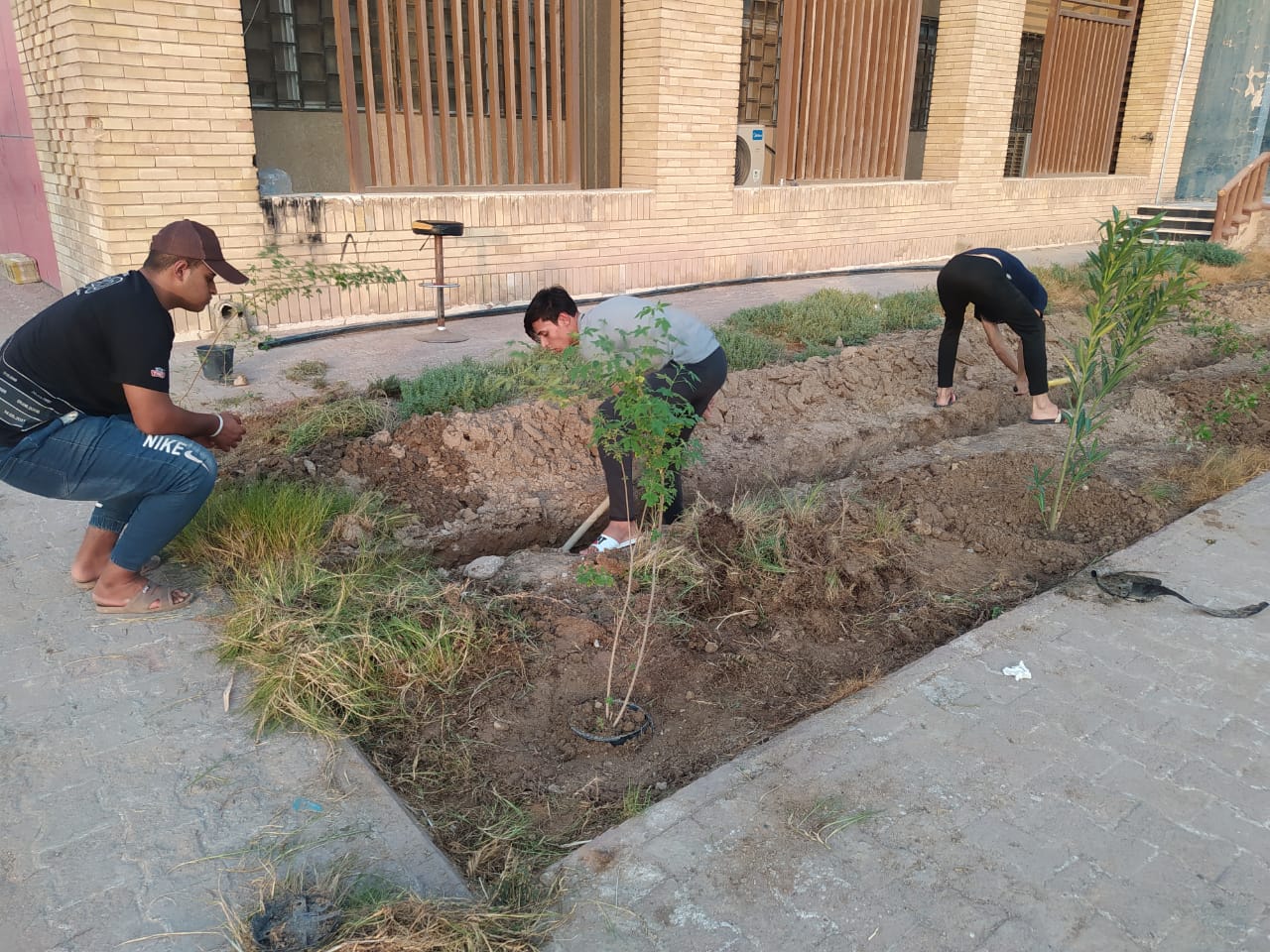 مبادرة التشجير 3