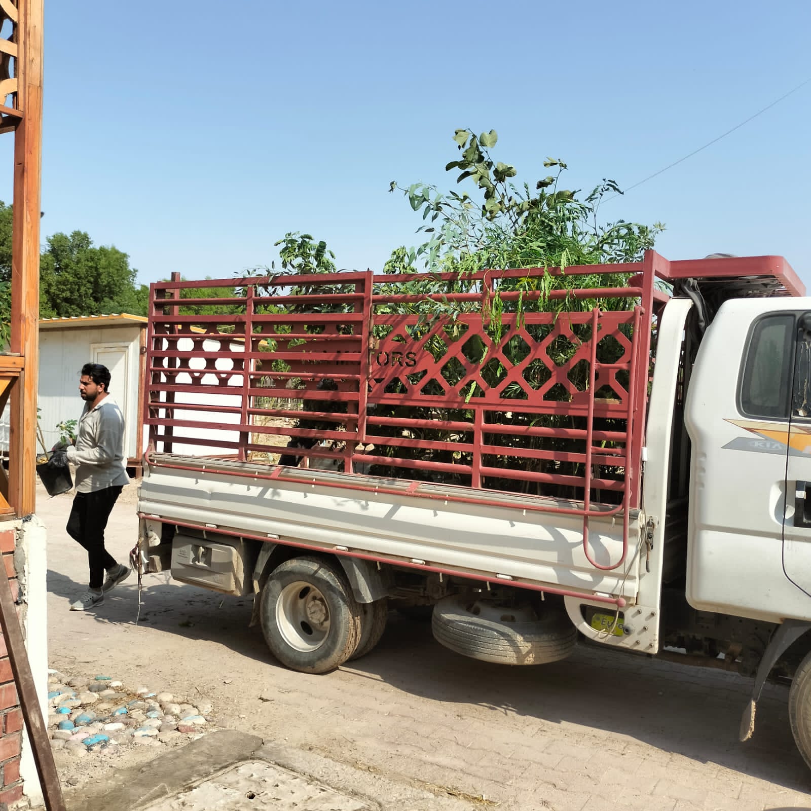 مبادرة التشجير 2